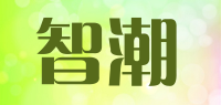 智潮品牌logo