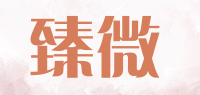 臻微zhenwei品牌logo