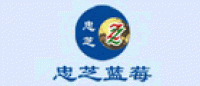 忠芝ZZ品牌logo