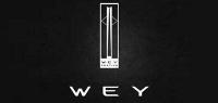 wey品牌logo