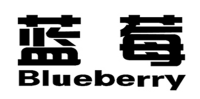 蓝莓品牌logo