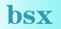 bsx品牌logo