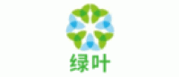 绿叶品牌logo