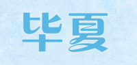 毕夏bisoy品牌logo