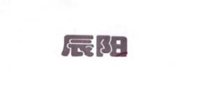 辰阳电子品牌logo