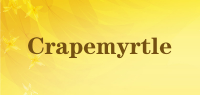 Crapemyrtle品牌logo