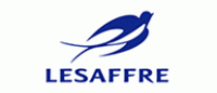 Saf-instant燕子品牌logo
