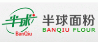 半球BANQIU品牌logo