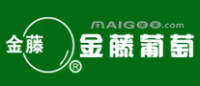 金藤葡萄品牌logo