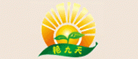艳九天品牌logo