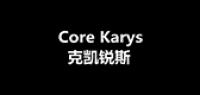 corekarys品牌logo