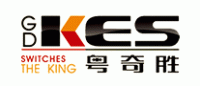 粤奇胜GDKES品牌logo