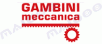 GambiniMeccanica品牌logo