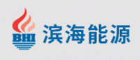 滨海能源BHI品牌logo
