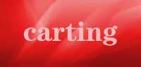 carting品牌logo