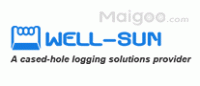 威盛电子well-sun品牌logo