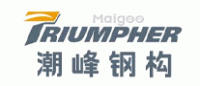 潮峰钢构TRIUMPHER品牌logo