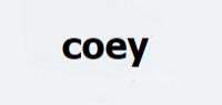 COEY品牌logo