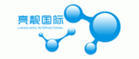 亮靓国际品牌logo