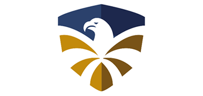 飞鹰FLYING EAGLE品牌logo