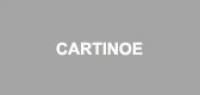 cartinoe品牌logo