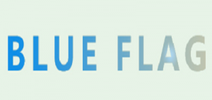 蓝旗品牌logo
