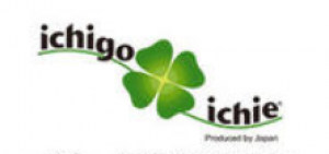 ichigo ichie品牌logo