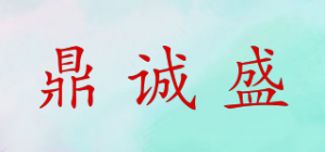 鼎诚盛TEAMSUNG品牌logo