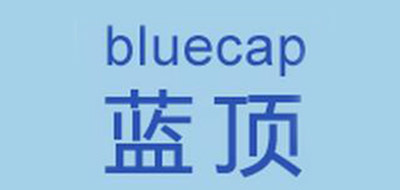 蓝顶品牌logo