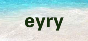 eyry品牌logo