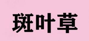斑叶草品牌logo