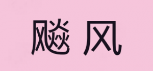 飚风品牌logo