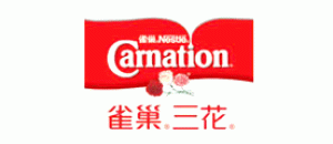 康乃馨Carnation品牌logo