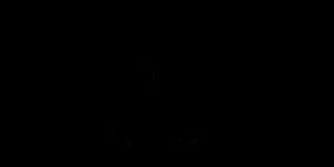 丽春品牌logo