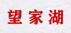 望家湖品牌logo