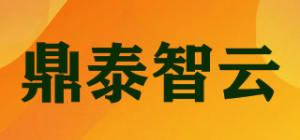 鼎泰智云DTZY品牌logo