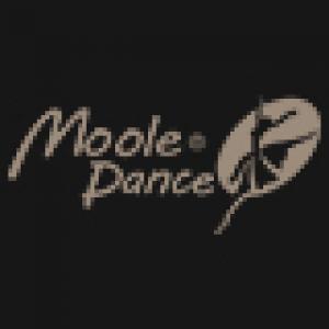 小茉莉舞蹈MooleDance品牌logo