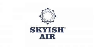 skyish品牌logo