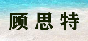 顾思特品牌logo