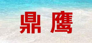 鼎鹰品牌logo
