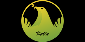 凯陆电子Kallu Electronic品牌logo