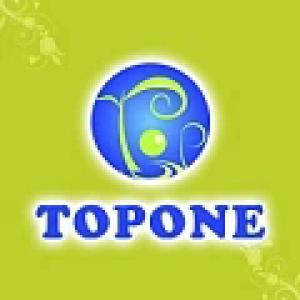 拓望TOPONE品牌logo