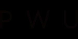朴物大美品牌logo