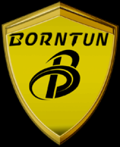 波盾Borntun品牌logo