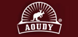 奥媂Aoudy品牌logo