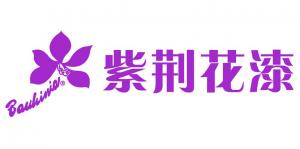 紫荆花品牌logo