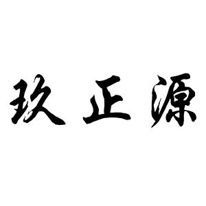 玖正源品牌logo