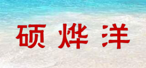 硕烨洋品牌logo