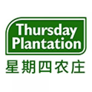 星期四茶树品牌logo