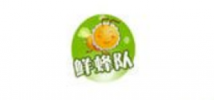 鲜蜂队品牌logo